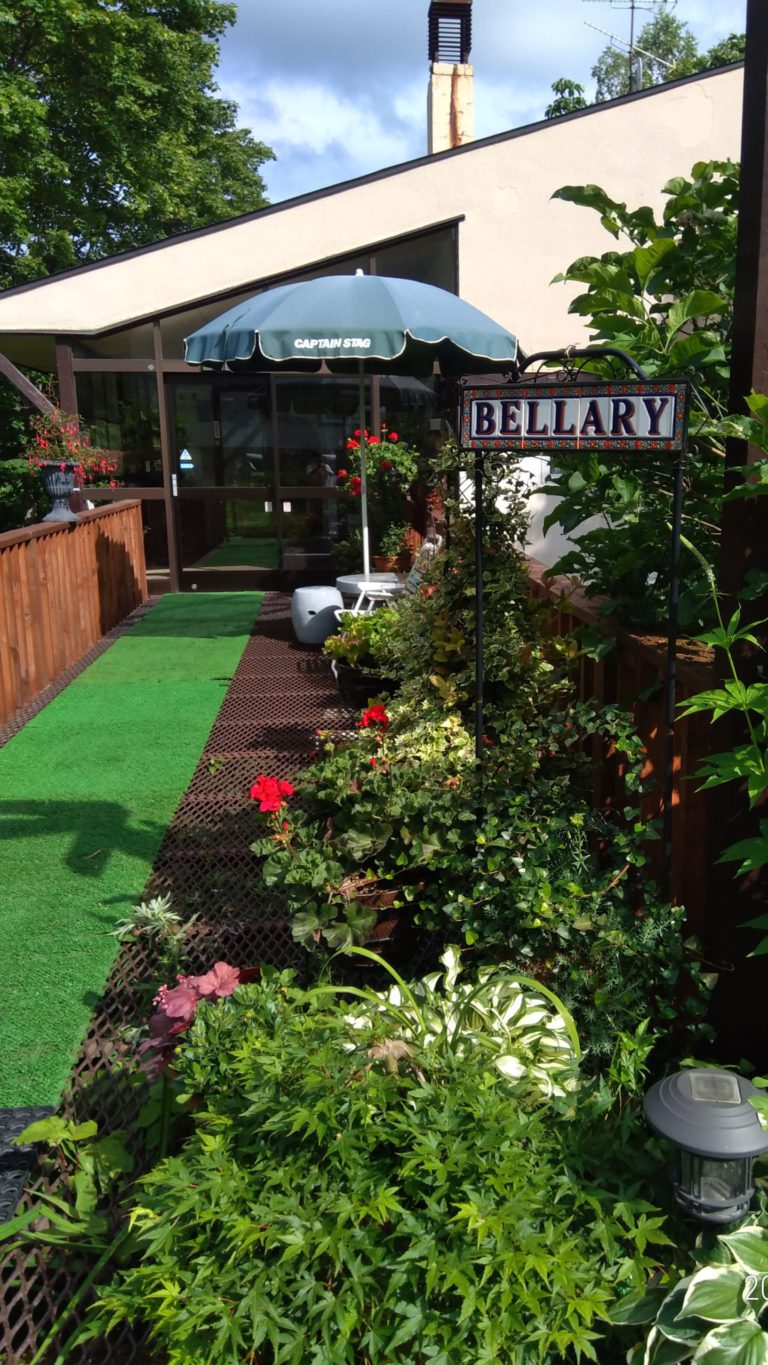 P_20200705_150525_p (1)